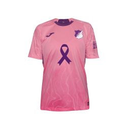 Herren TSG Hoffenheim 2025/26 Sondertrikot Brustkrebs