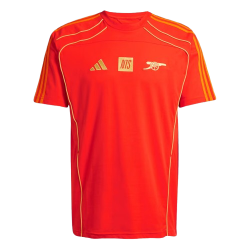 Herren Arsenal x NTS 2025/26 Urban Purist Trikot - Orange