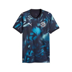 Herren Paraguay 2026 Auswärts Weltmeisterschaft Trikot