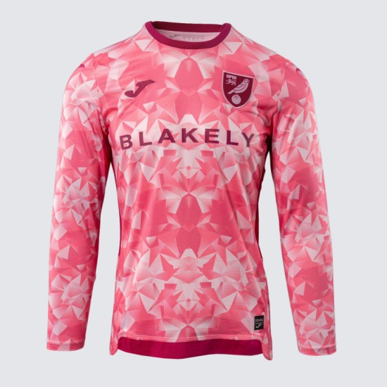 Herrentrikot Norwich City 2025/26 Third Langarm